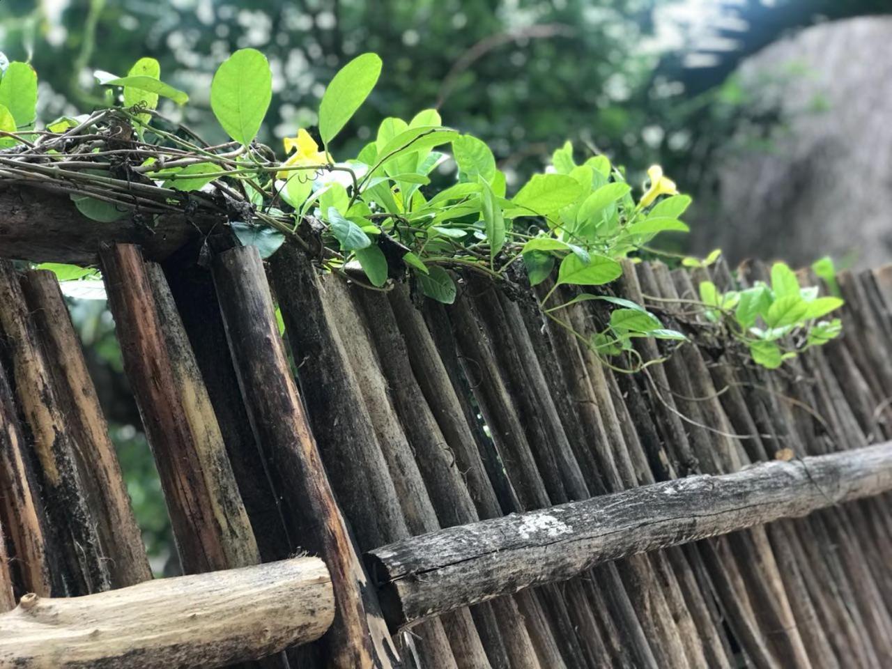 Cabanas La Alborada Villa Tulum Ngoại thất bức ảnh